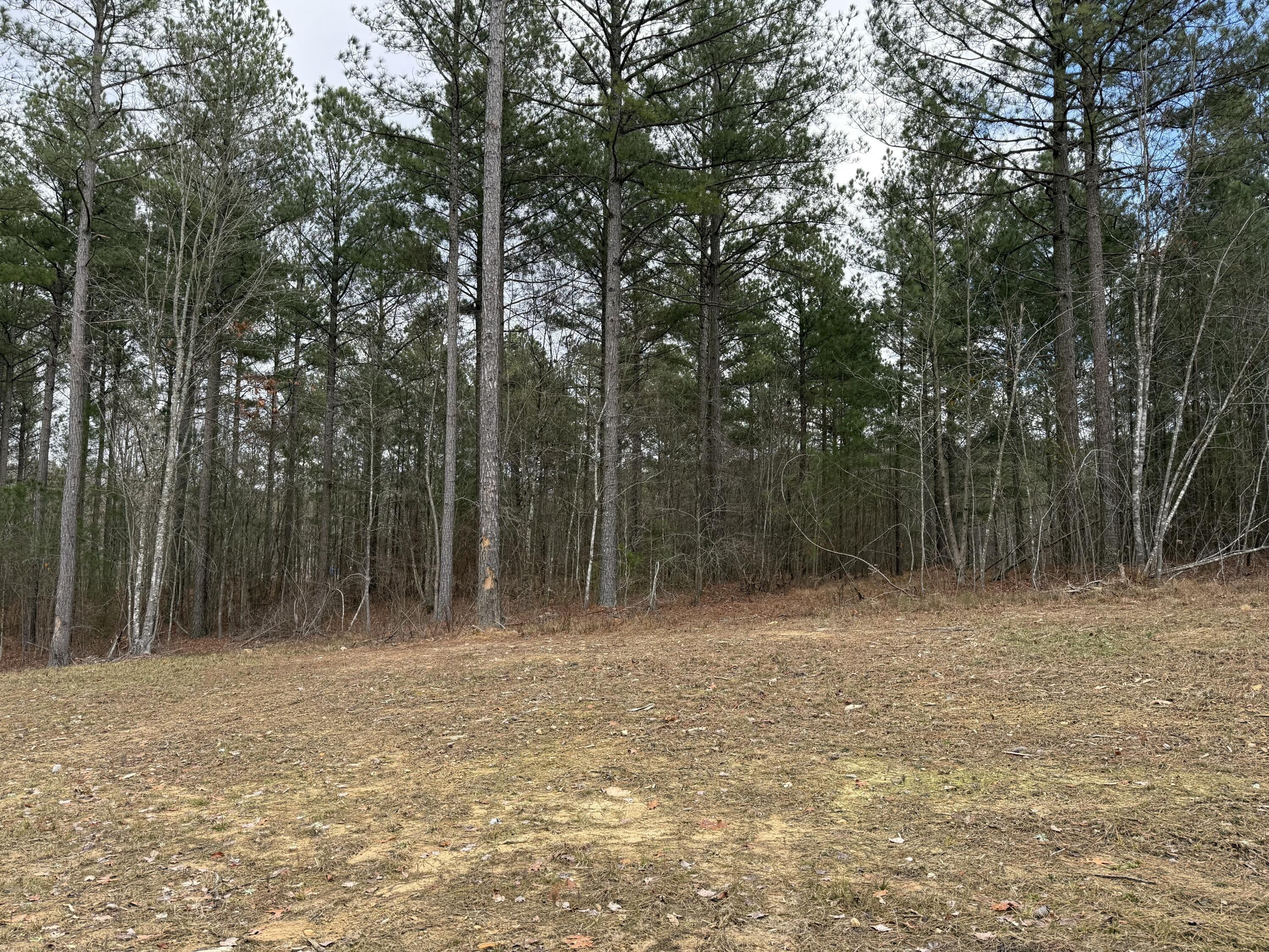 Farm Road #1051, Guild, Tennessee image 30