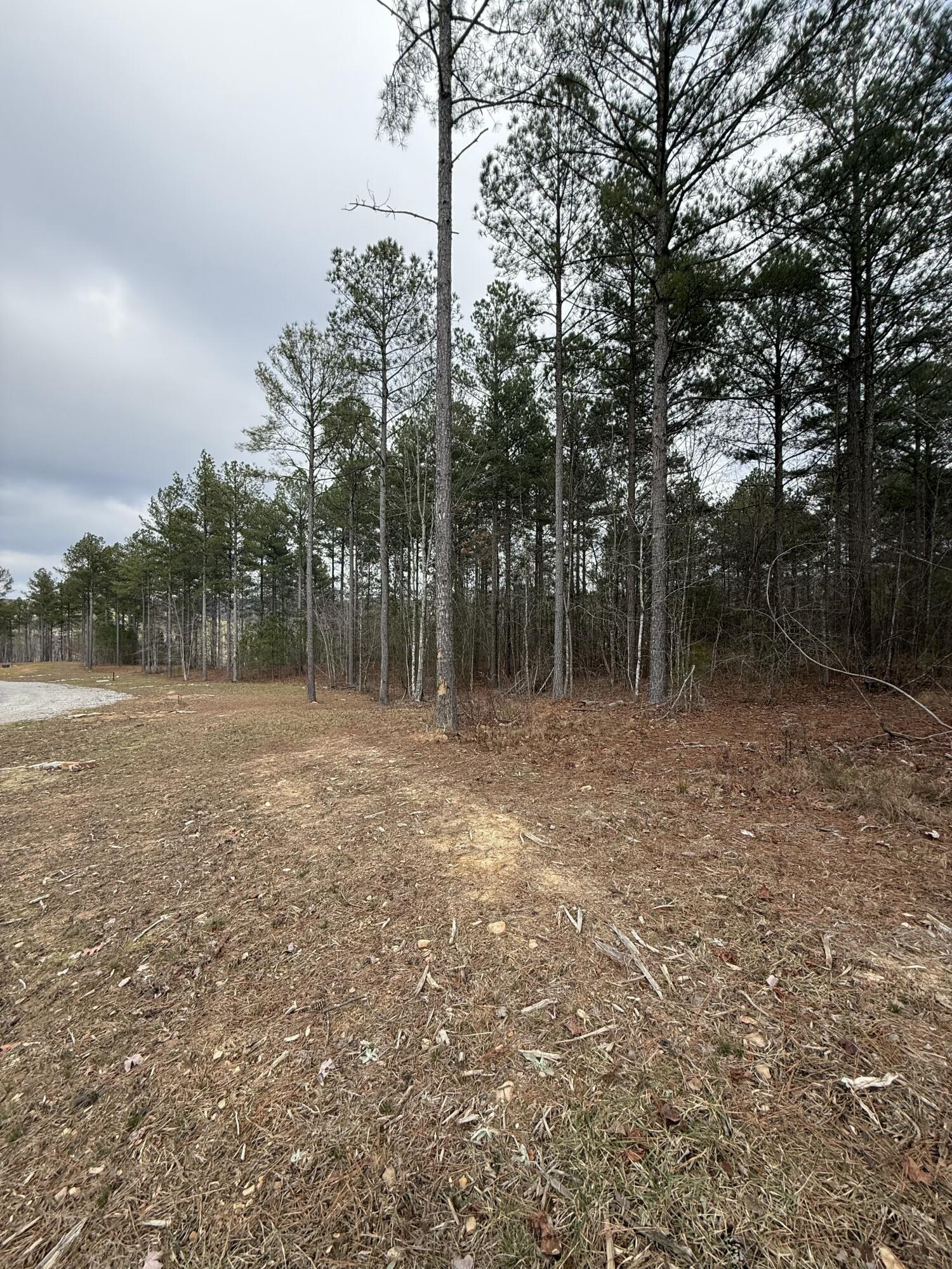 Farm Road #1051, Guild, Tennessee image 4
