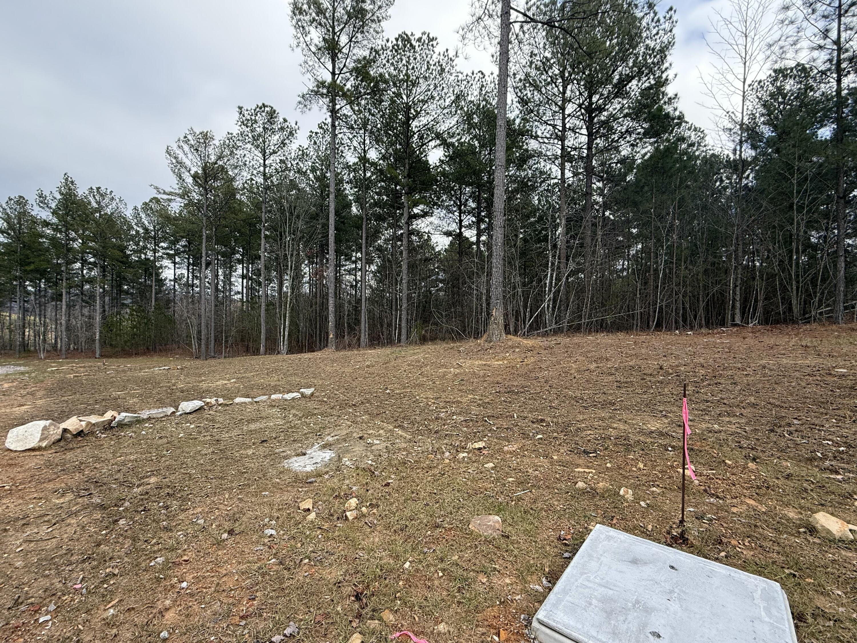 Farm Road #1051, Guild, Tennessee image 35