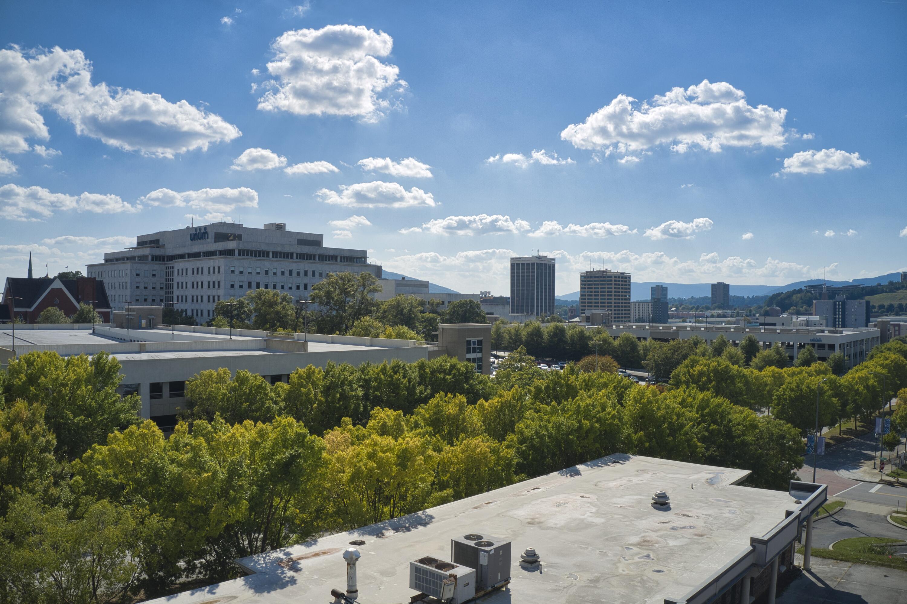 365 E 4th Street, Chattanooga, Tennessee image 6