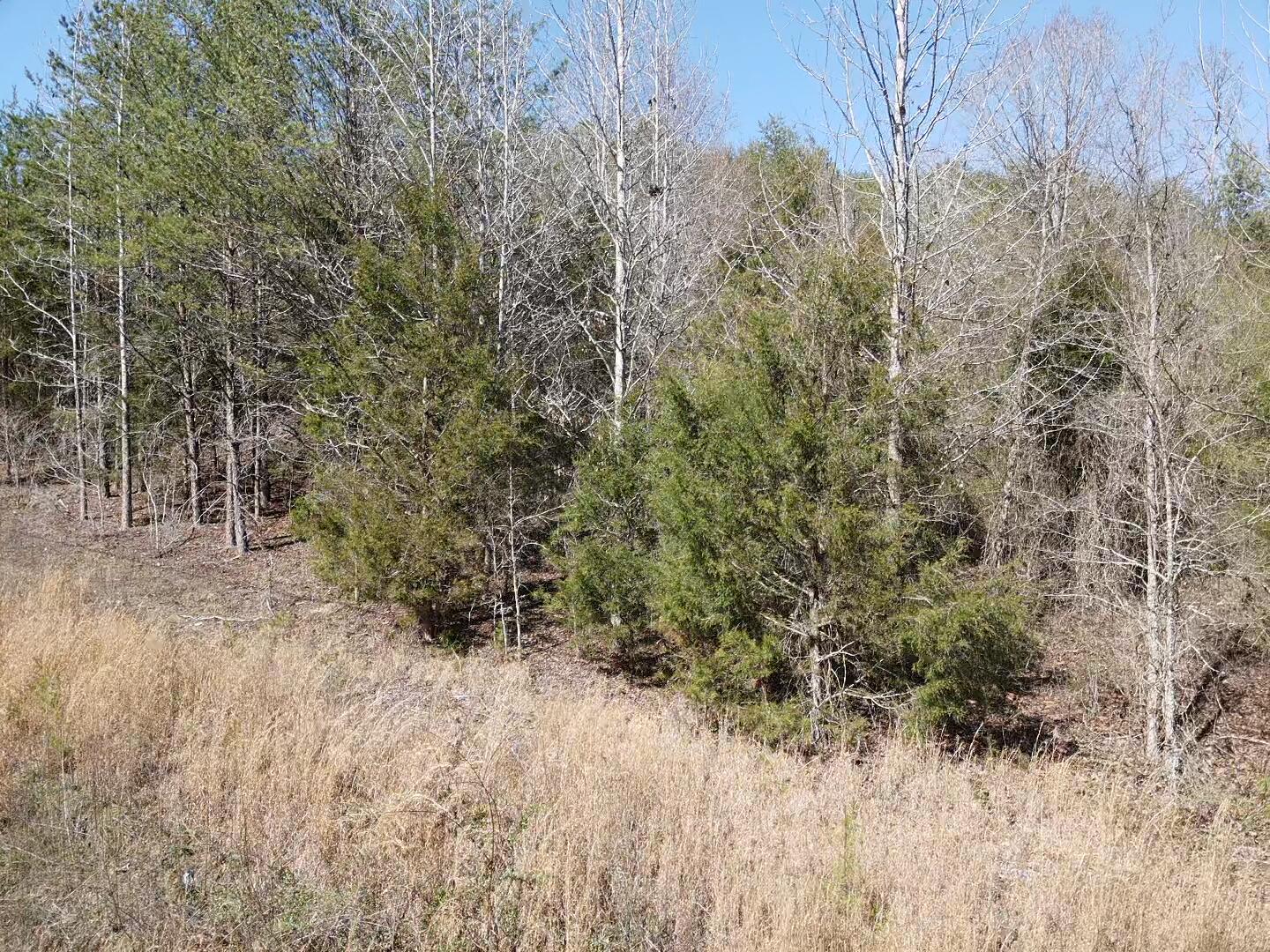 John Burch Rd, Lot 33, Dunlap, Tennessee image 16