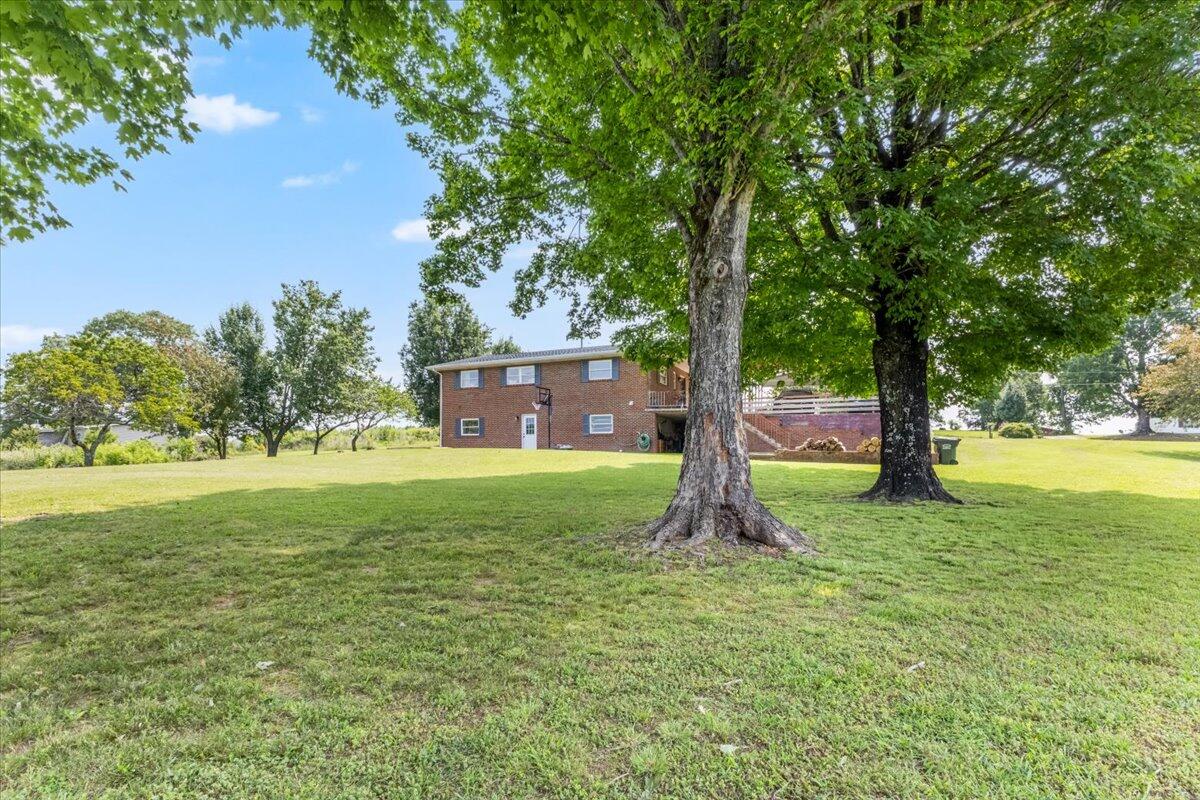 261 County Road 265, Niota, Tennessee image 7