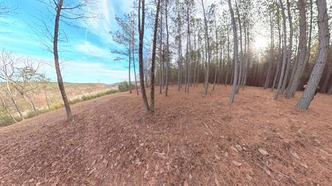 Tiny photo for 0 Big Soddy Drive, Soddy Daisy, TN 37379 (MLS # 1526638)