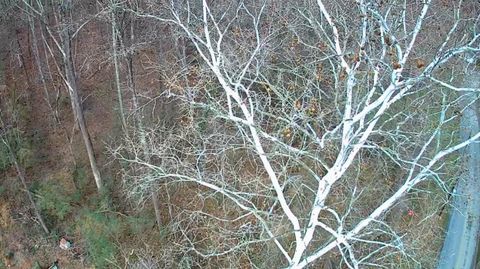 Tiny photo for 8815 Gann Road, Soddy Daisy, TN 37379 (MLS # 1527281)