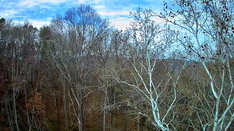 Tiny photo for 8815 Gann Road, Soddy Daisy, TN 37379 (MLS # 1527281)