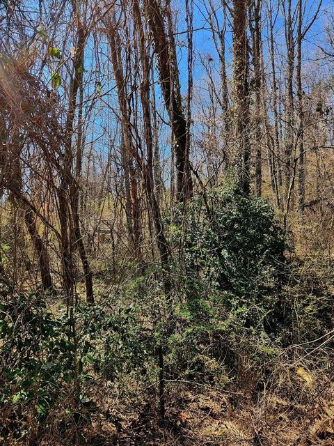 Tiny photo for 8815 Gann Road, Soddy Daisy, TN 37379 (MLS # 1527281)