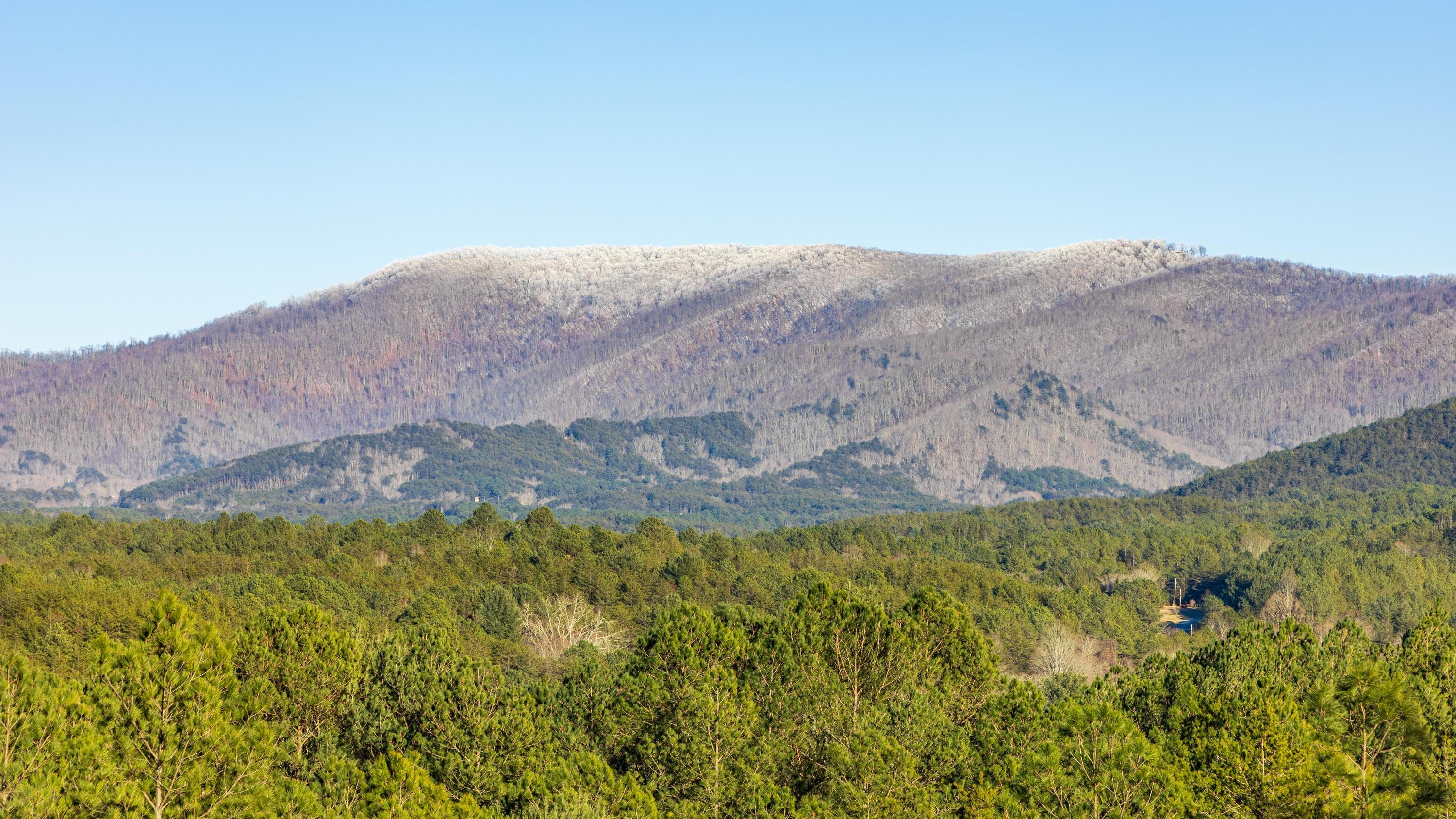 5333 Highway 64, Copperhill, Tennessee image 7