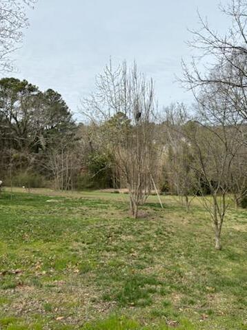 Moss Drive #80, Chattanooga, Tennessee image 3