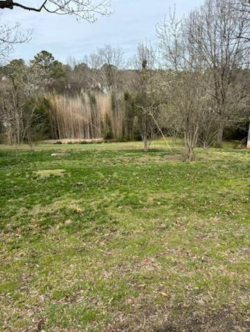Moss Drive #80, Chattanooga, Tennessee image 1