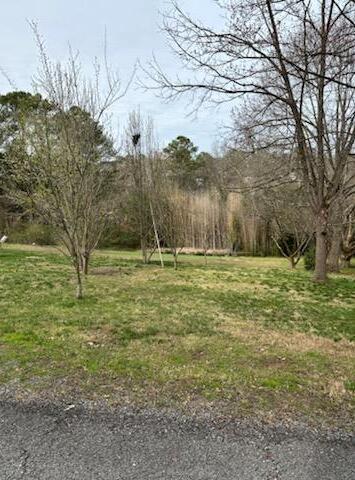 Moss Drive #80, Chattanooga, Tennessee image 2