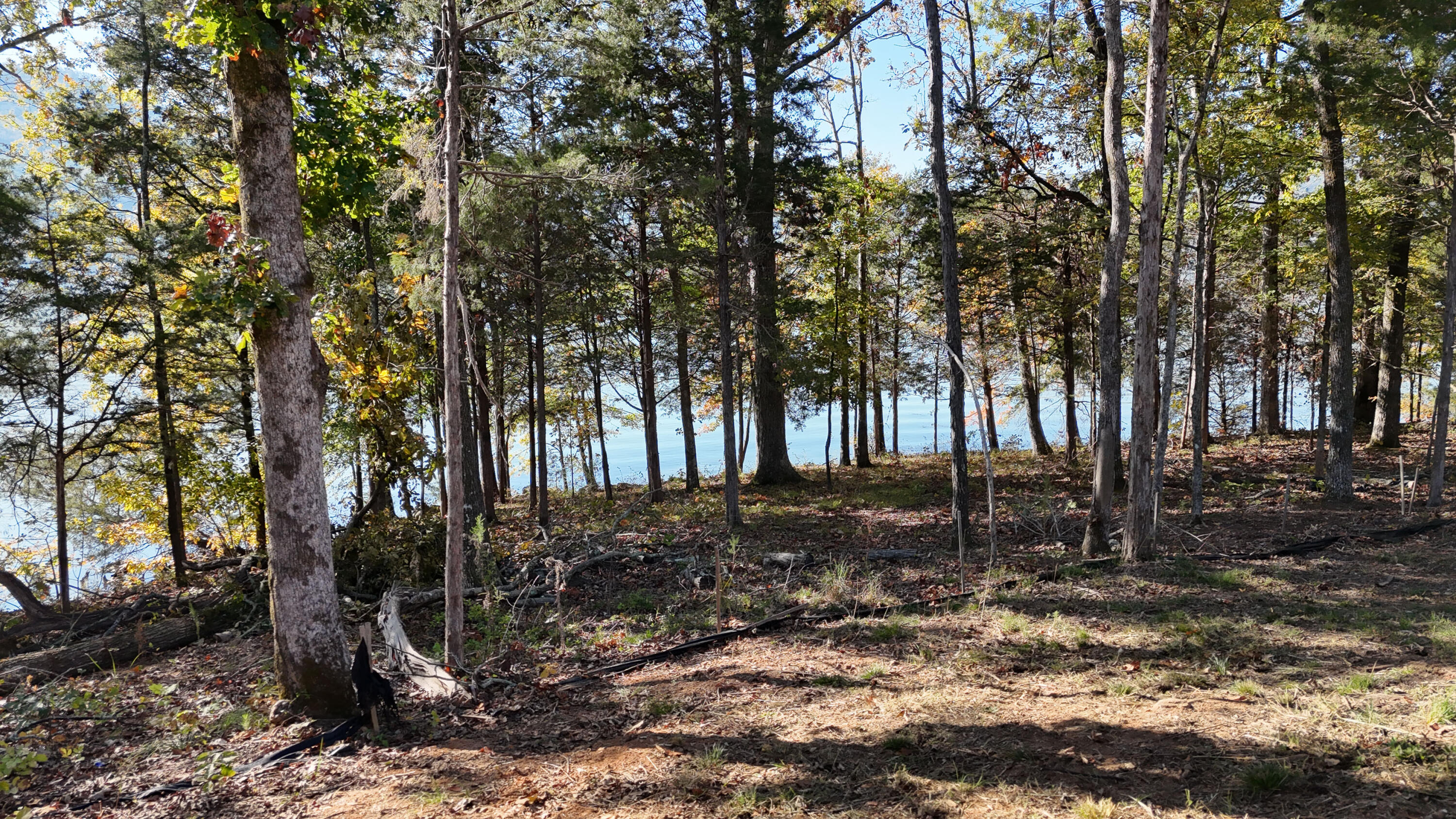 Clubhouse Drive #91, Jasper, Tennessee image 9