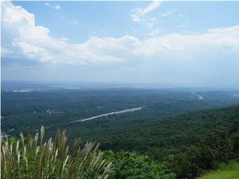 Photo of 0 Forest Park Drive, Walden, TN 37377 (MLS # 1527048)