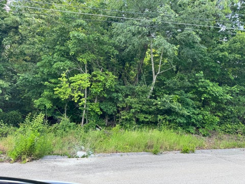 Vacant Land For Sale - 7405 Woodland Bay Drive<br/> Harrison, TN 37341
