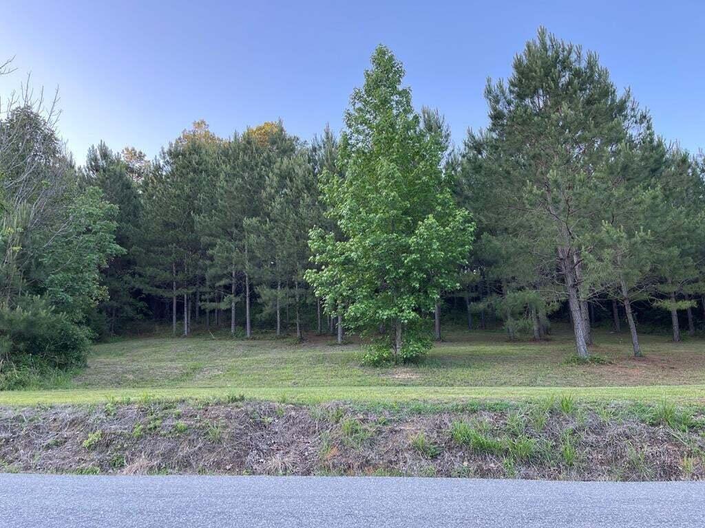 1461 Sloan Gap Rd, Ocoee, Tennessee image 1