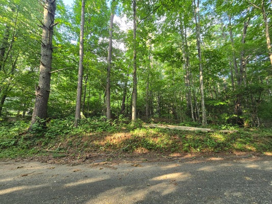 65 COLWELL CHURCH RD, EPWORTH, GA 30541 - Image 96bd9146efb0d22a7eeb8ba63243ac9f/417896314