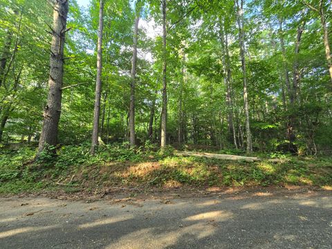 Vacant Land For Sale - 000 Colwell Church Rd Rd<br/> Fannin County, Epworth, GA 30541