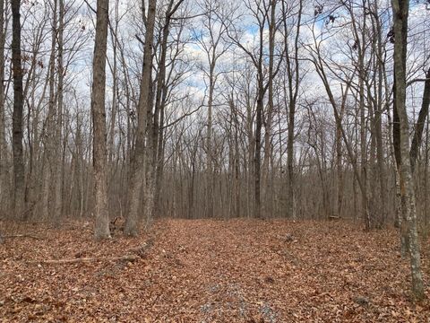 Photo of Lot 11 Green Forest, Dunlap, TN 37327 (MLS # 1526578)