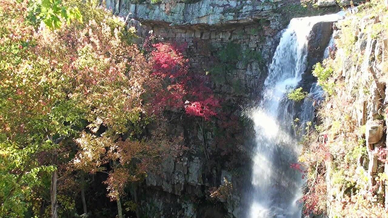 705 Crockett Loop #JF67, Jasper, Tennessee image 17