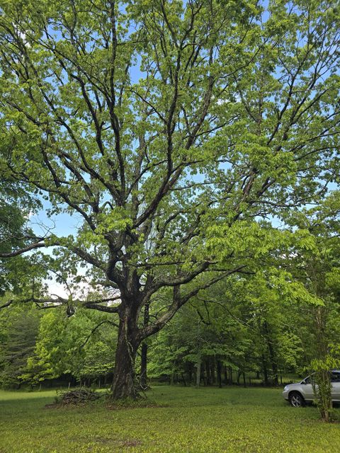 Tiny photo for 157 Highway, Rising Fawn, GA 30738 (MLS # 1512736)