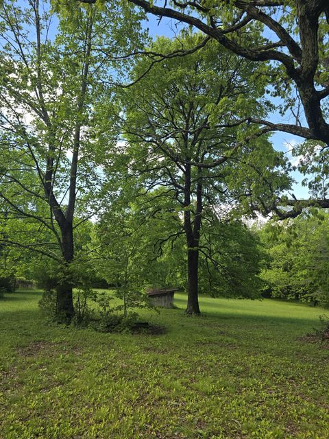 Tiny photo for 157 Highway, Rising Fawn, GA 30738 (MLS # 1512736)