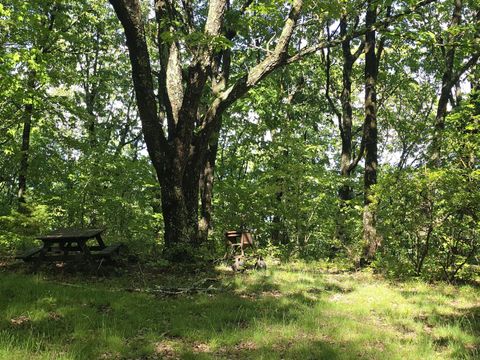 Tiny photo for 157 Highway, Rising Fawn, GA 30738 (MLS # 1512736)