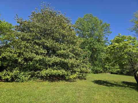 Tiny photo for 157 Highway, Rising Fawn, GA 30738 (MLS # 1512736)