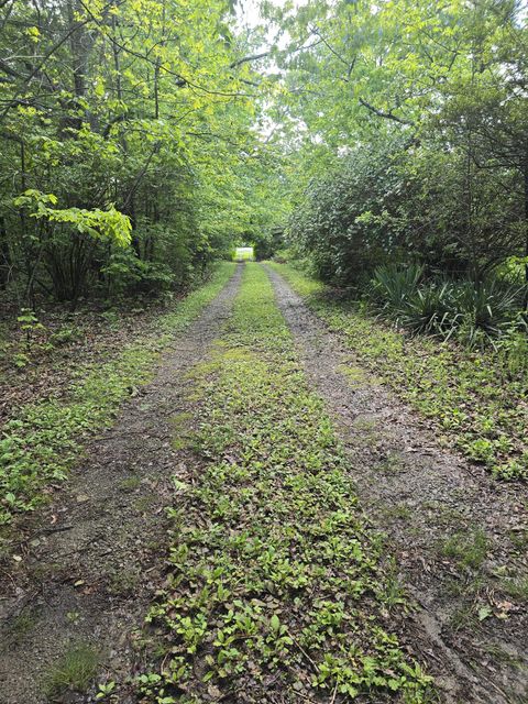 Tiny photo for 157 Highway, Rising Fawn, GA 30738 (MLS # 1512736)