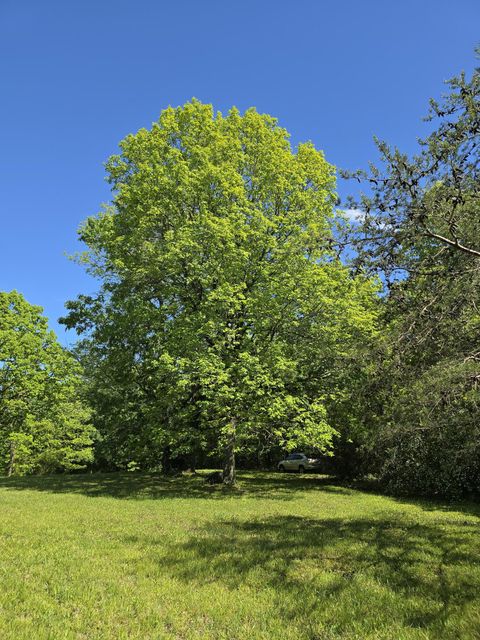 Tiny photo for 157 Highway, Rising Fawn, GA 30738 (MLS # 1512736)