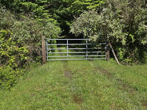 Photo of 157 Highway, Rising Fawn, GA 30738 (MLS # 1512736)