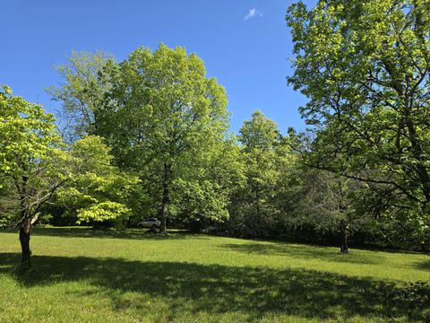 Tiny photo for 157 Highway, Rising Fawn, GA 30738 (MLS # 1512736)