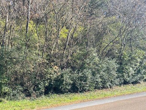 Photo of 0 Signal Mountain Road, Chattanooga, TN 37405 (MLS # 1504409)