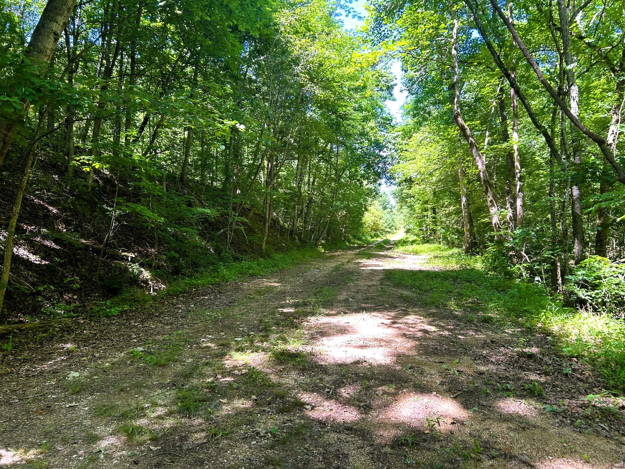 000 Charles Road #15A, Decatur, Tennessee image 8