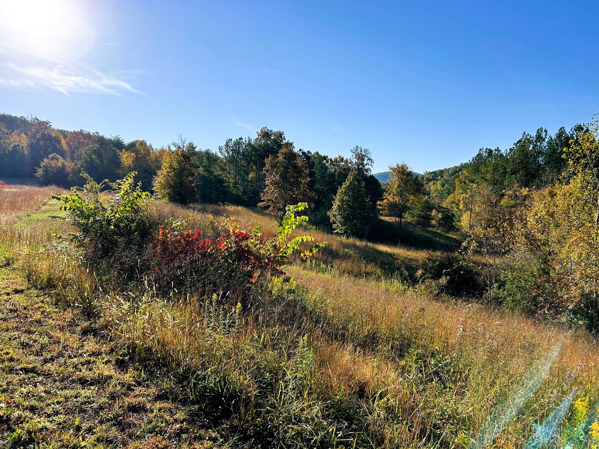 000 Charles Road #15A, Decatur, Tennessee image 16