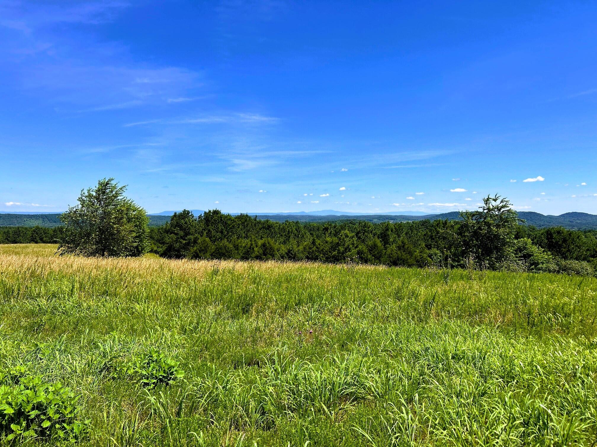 000 Charles Road #15A, Decatur, Tennessee image 34