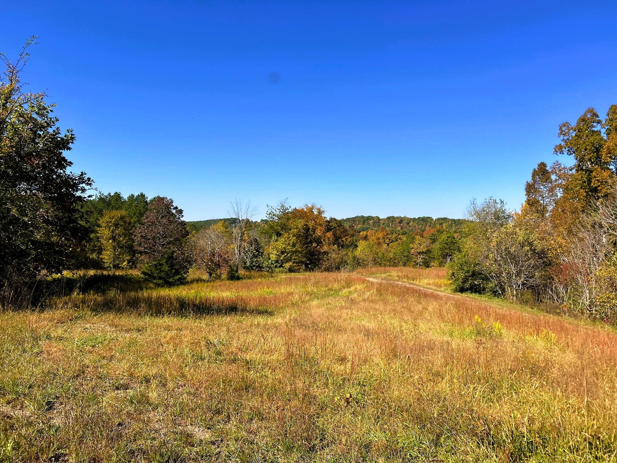 000 Charles Road #15A, Decatur, Tennessee image 15