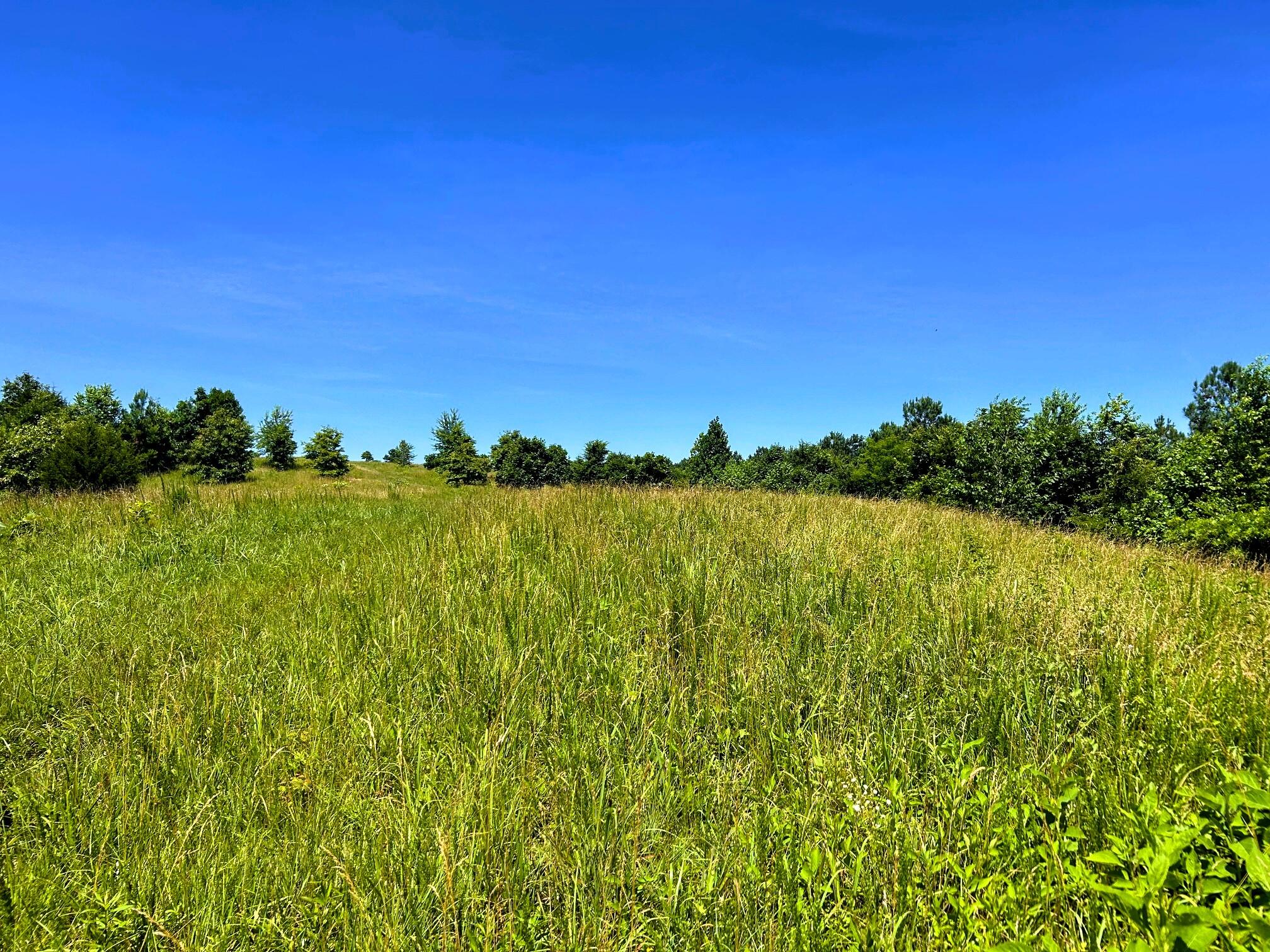 000 Charles Road #15A, Decatur, Tennessee image 6