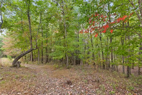 Tiny photo for 2620 Hobbstown Road, Dunlap, TN 37327 (MLS # 1526622)