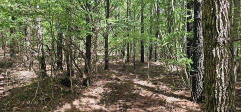 Tiny photo for 0 Sunset Rd #532, Spencer, TN 38585 (MLS # 1513109)