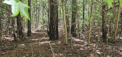 Tiny photo for 0 Sunset Rd #532, Spencer, TN 38585 (MLS # 1513109)