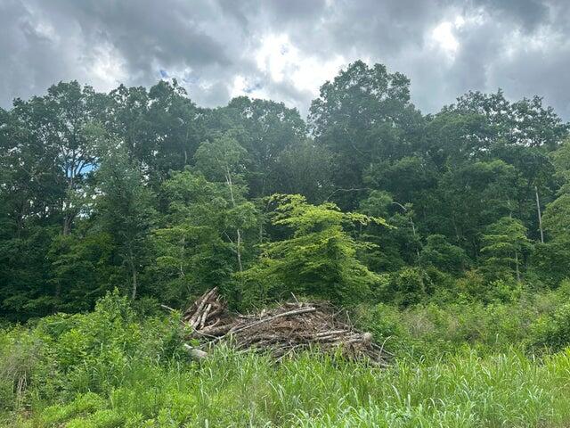 125 County Road #155, Riceville, Tennessee image 1