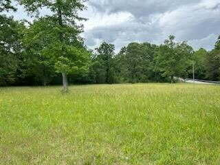 1424 Mowbray Pike, Soddy Daisy, Tennessee image 2
