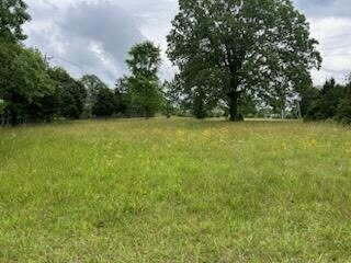1424 Mowbray Pike, Soddy Daisy, Tennessee image 1