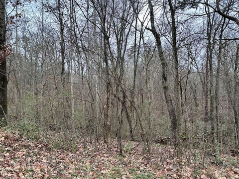 310 Brumlow Hollow Road Soddy Daisy TN 37379