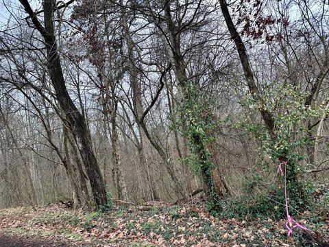 Tiny photo for 310 Brumlow Hollow Road, Soddy Daisy, TN 37379 (MLS # 1524797)