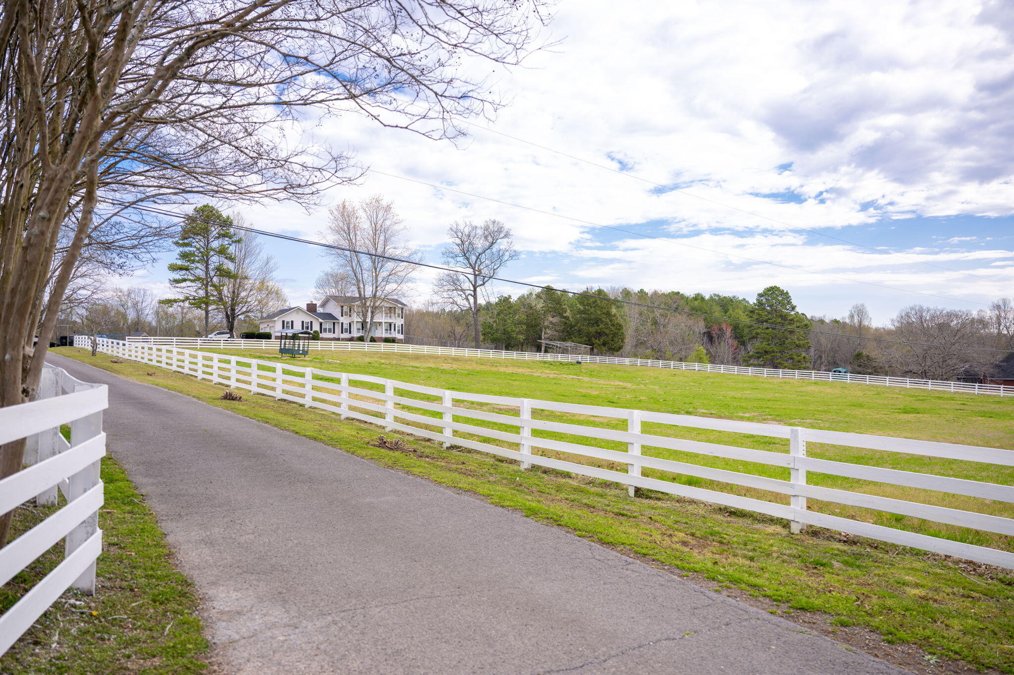 6909 Sims Road, Harrison, Tennessee image 8