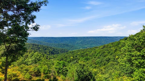 Photo of 623 Coyote Trail, Spencer, TN 38585 (MLS # 1544629)