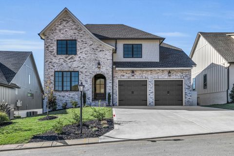 Photo of 1373 London Woods Way, Apison, TN 37302 (MLS # 1512075)