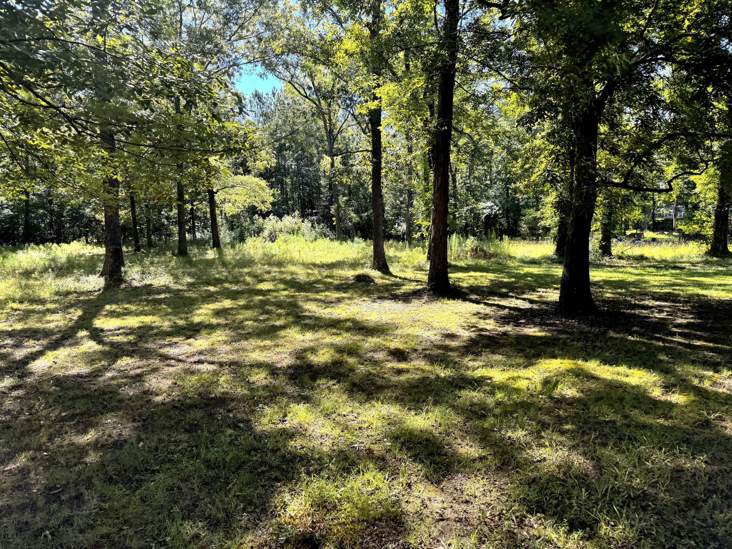155 S Avery Road, Rome, Georgia image 12