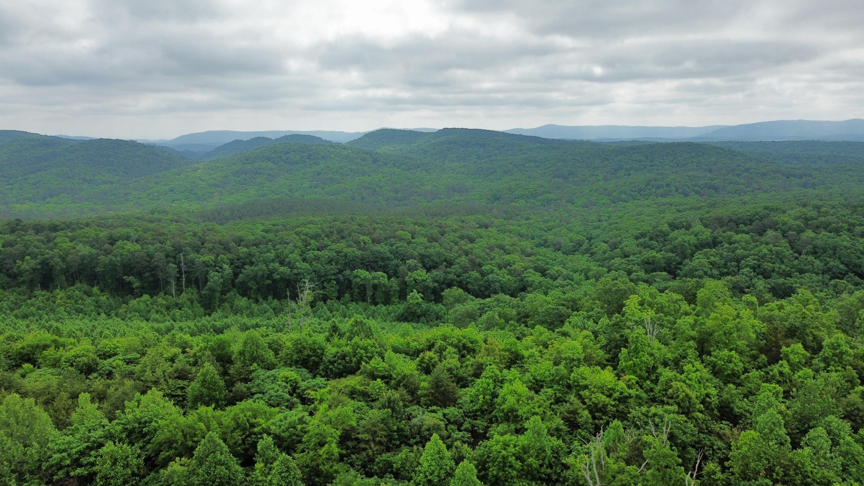 Hwy 151, Ringgold, Georgia image 5