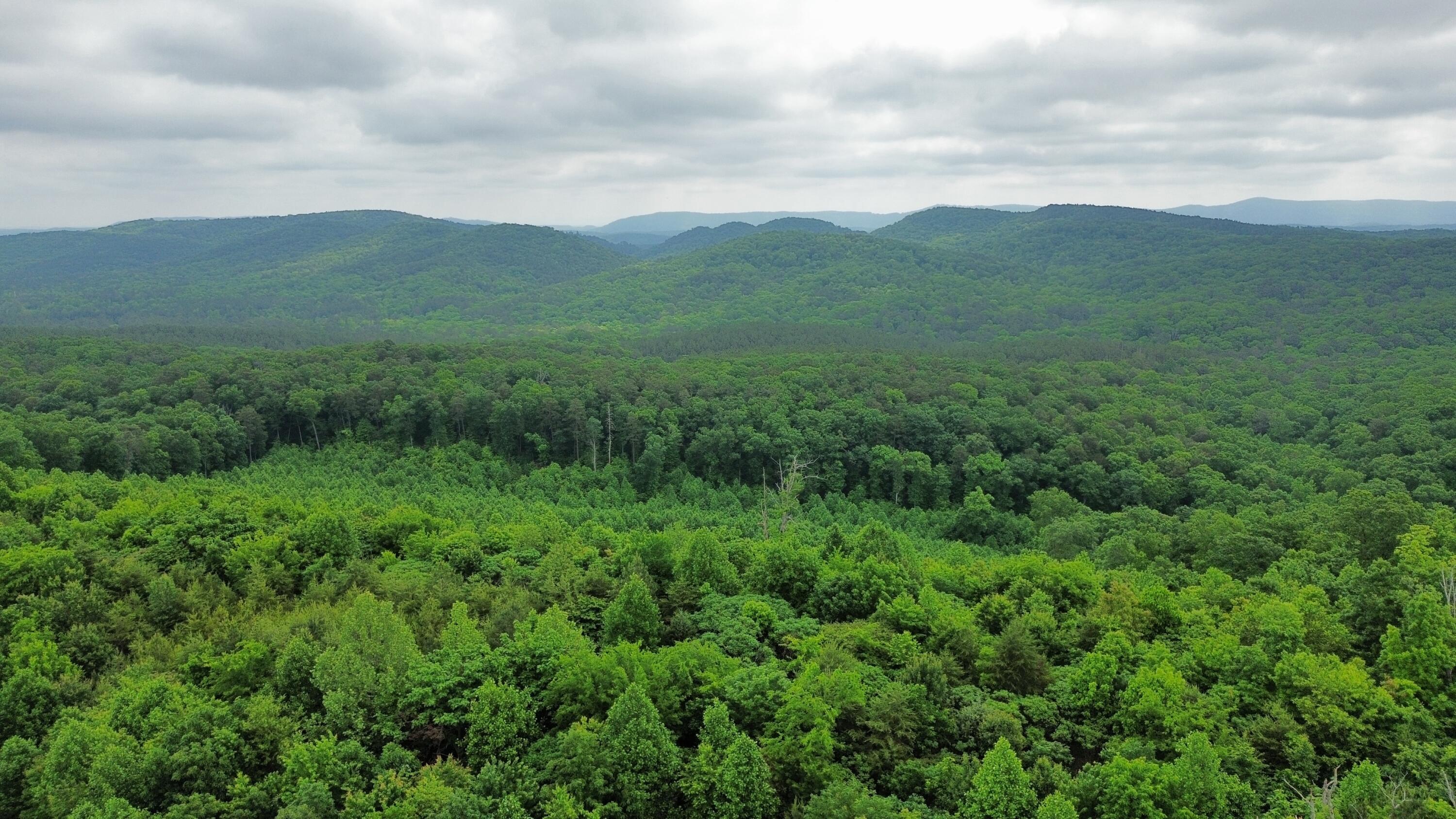 Hwy 151, Ringgold, Georgia image 1